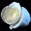 Rose wrist Corsages for dance at Flowers Washougal, Washougal, WA